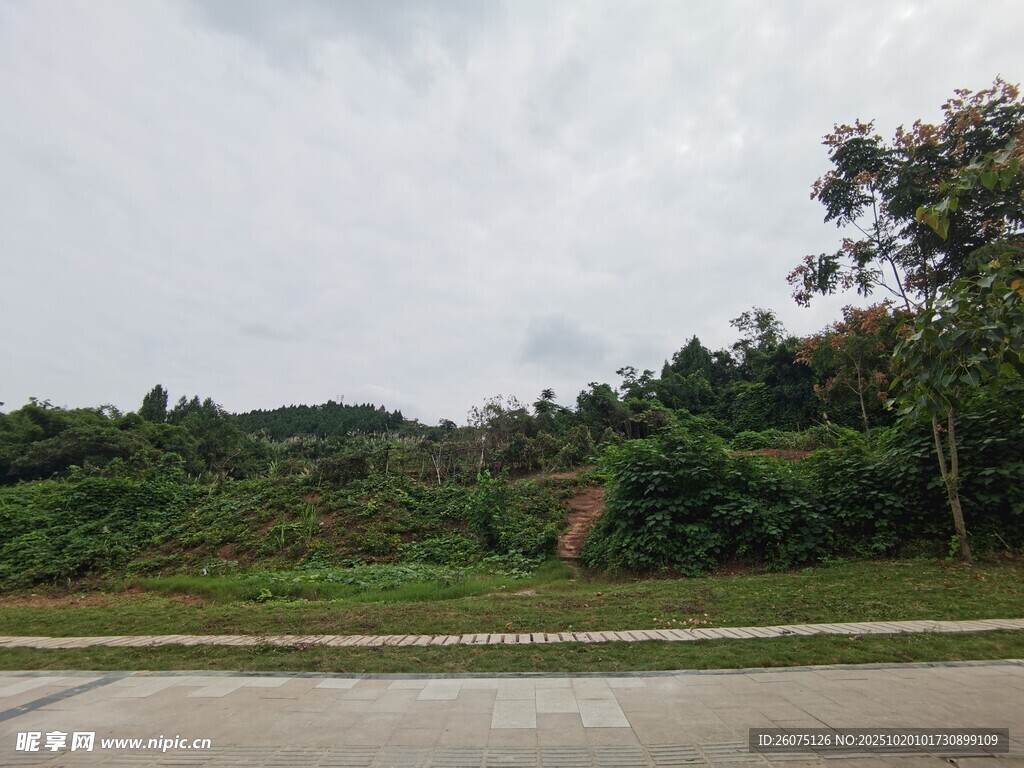 郊外绿意盎然的开阔风景