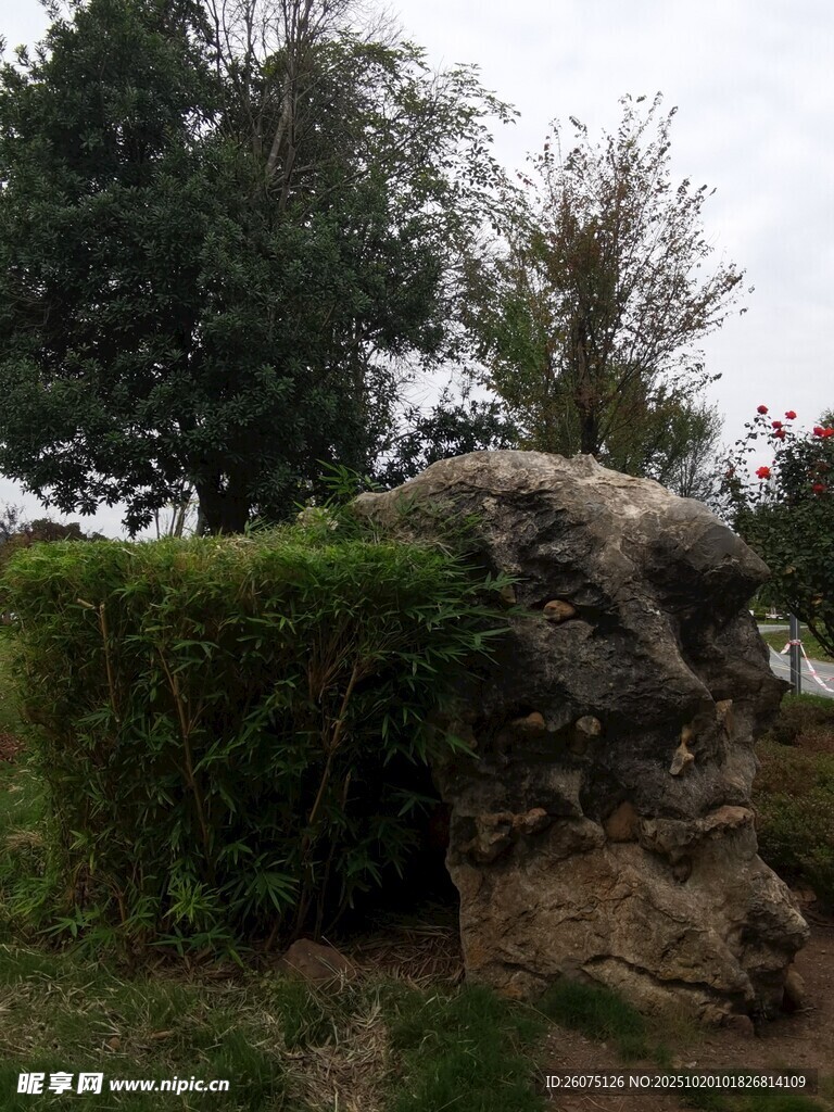 园林景观中的巨石与绿植
