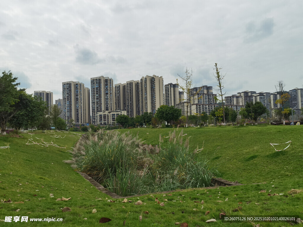 城市边的绿地与高楼景观