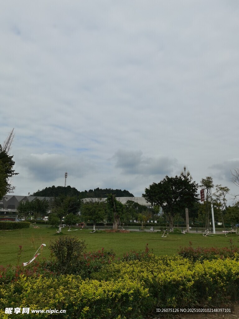 户外绿意盎然的自然景观