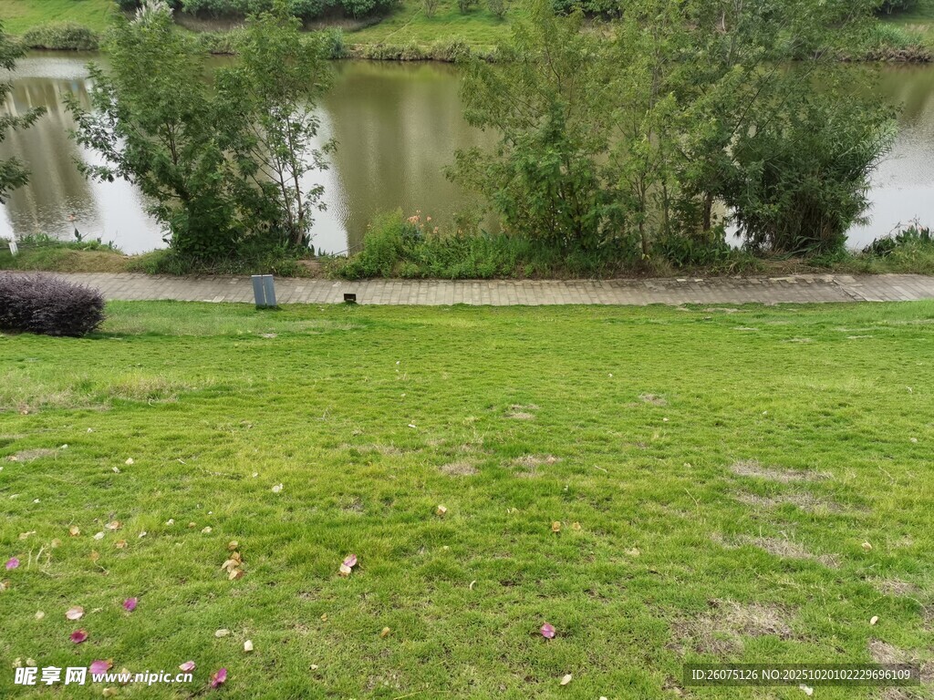河畔绿草地景观