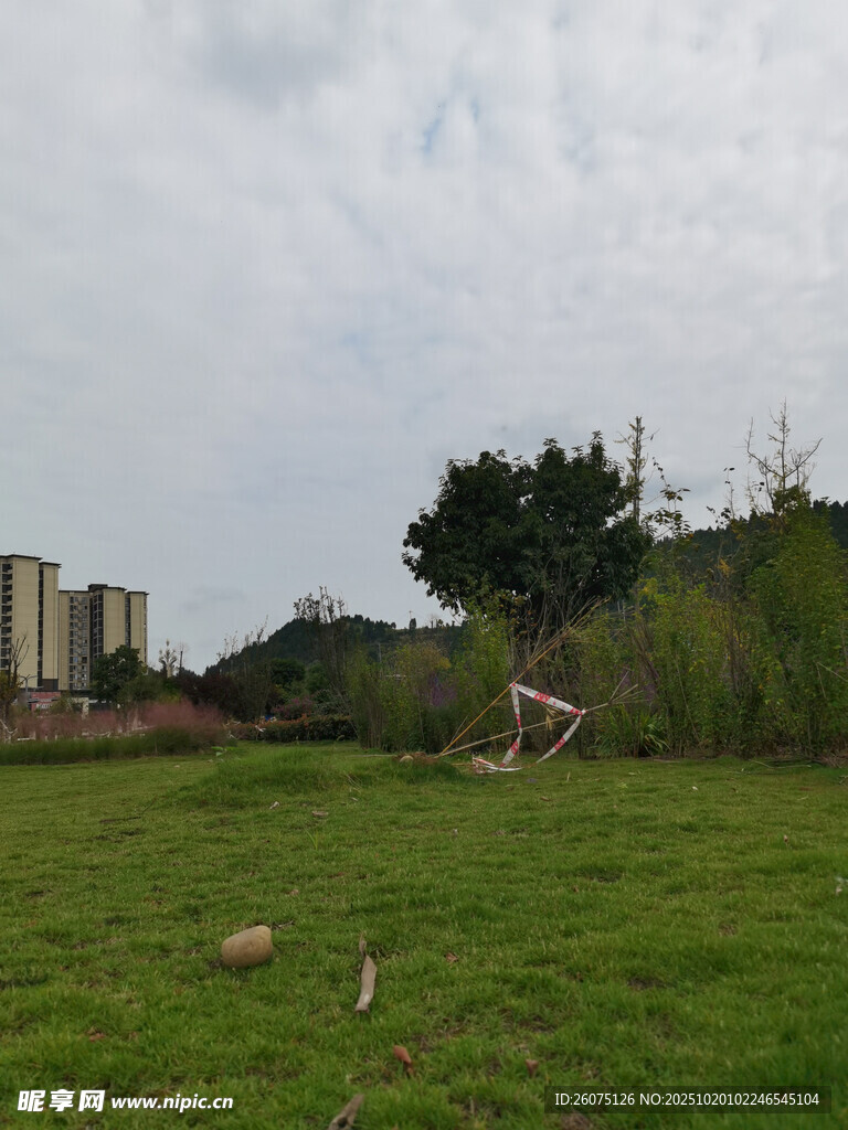 草地玩耍场景