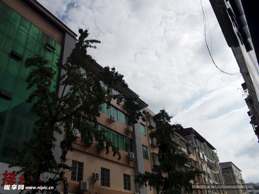 老旧居民楼外绿植攀附