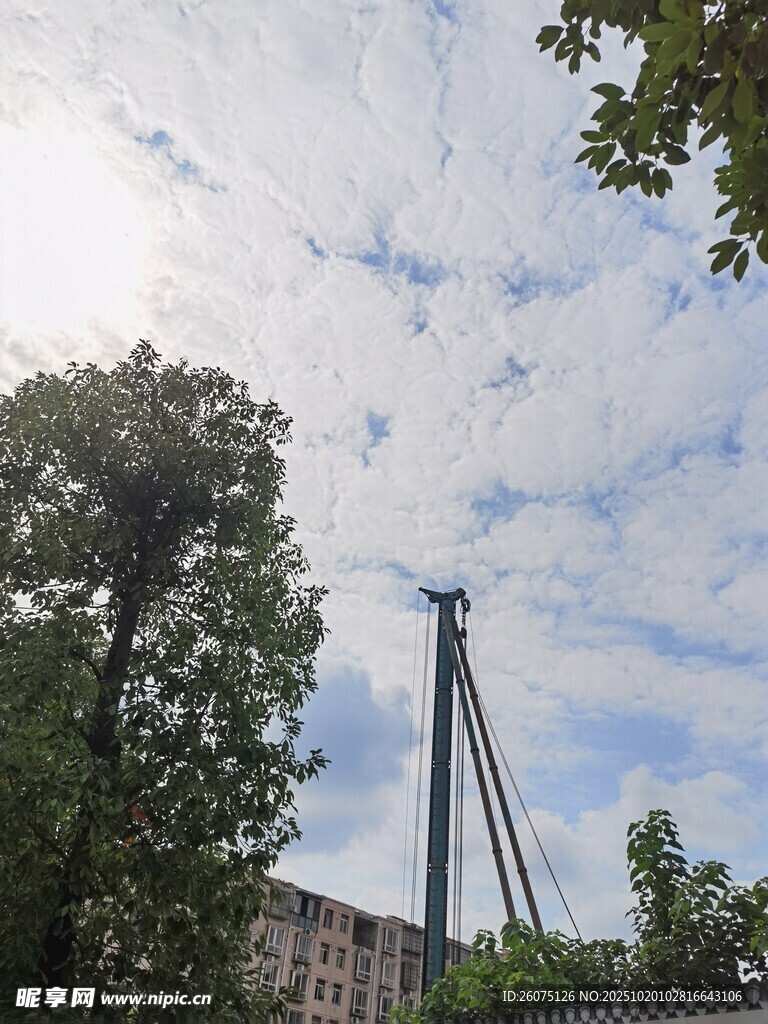 城市中高架桥与绿树蓝天