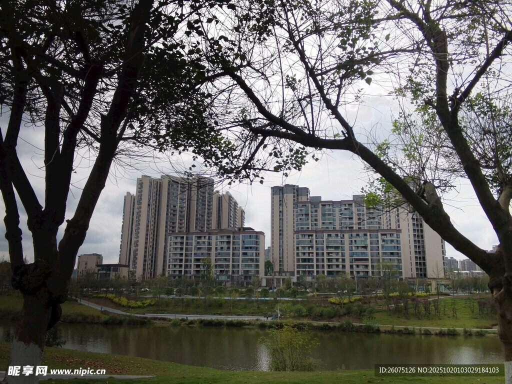 湖畔高楼与葱郁树木景观