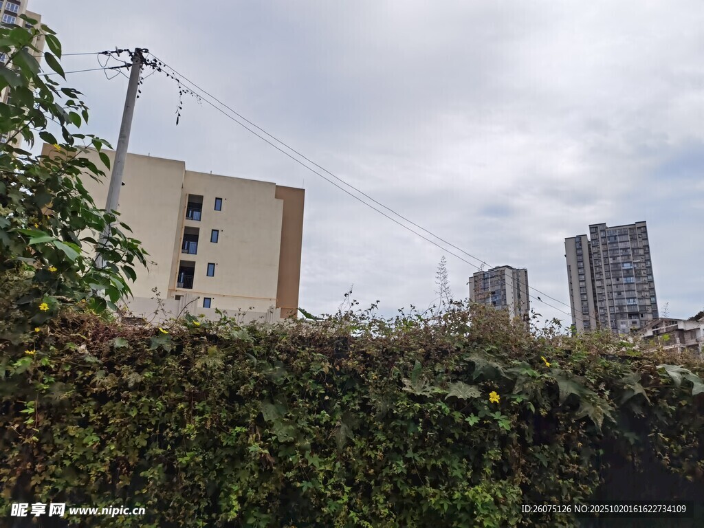 城市绿植旁的建筑景观