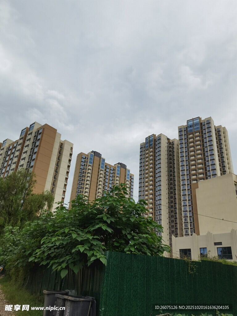 城市高楼与绿植景观