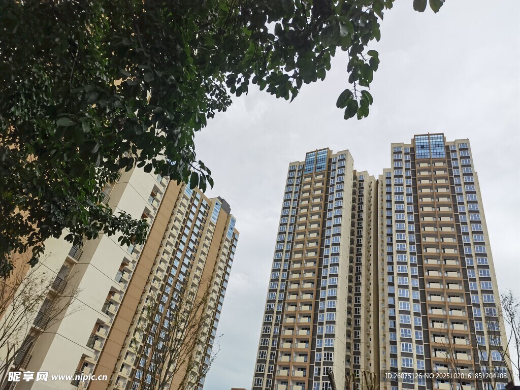 城市高楼景观