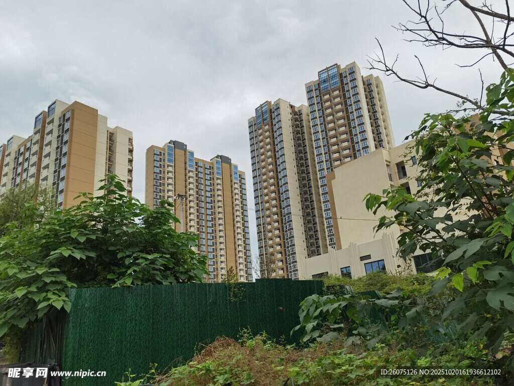 城市高楼旁的绿植景象
