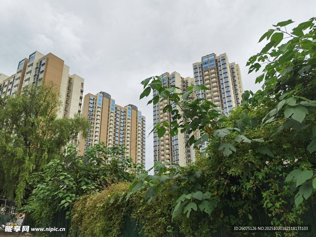 绿树环绕的城市高楼景观