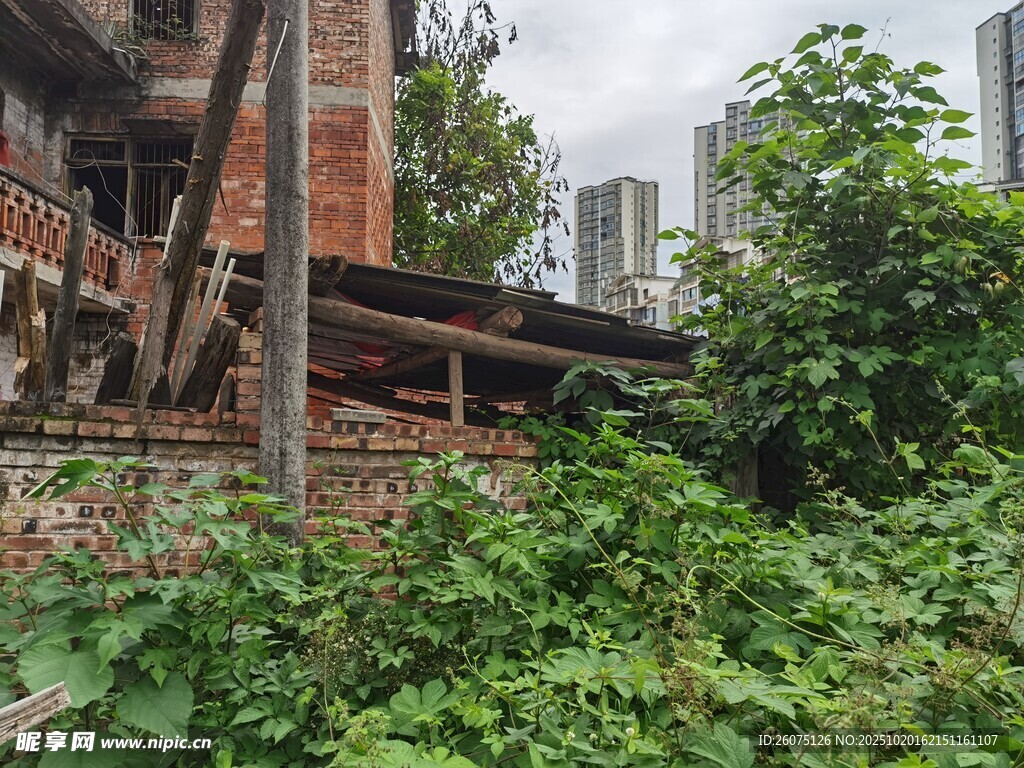 废弃建筑被绿植覆盖