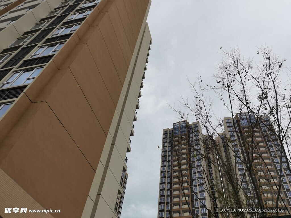 城市高楼与光秃树木景观