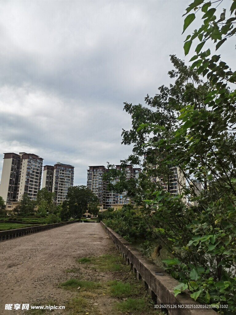 城郊小径旁的绿植与高楼