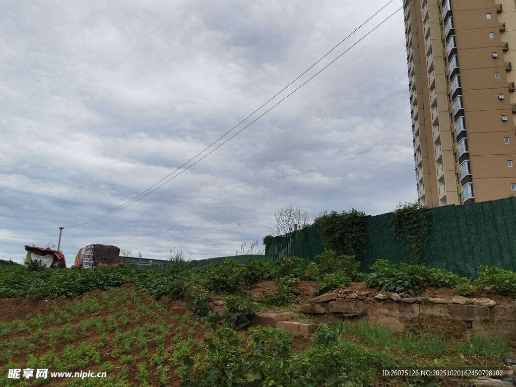 城郊荒地与高楼景象
