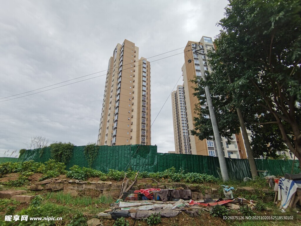 高楼旁的荒废绿地