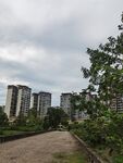 城市中绿树环绕的高楼