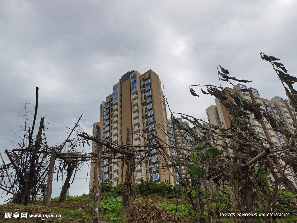 荒废地旁的高层住宅楼