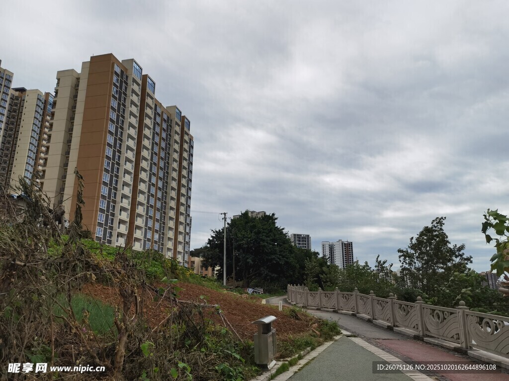 城市路边的高层住宅区
