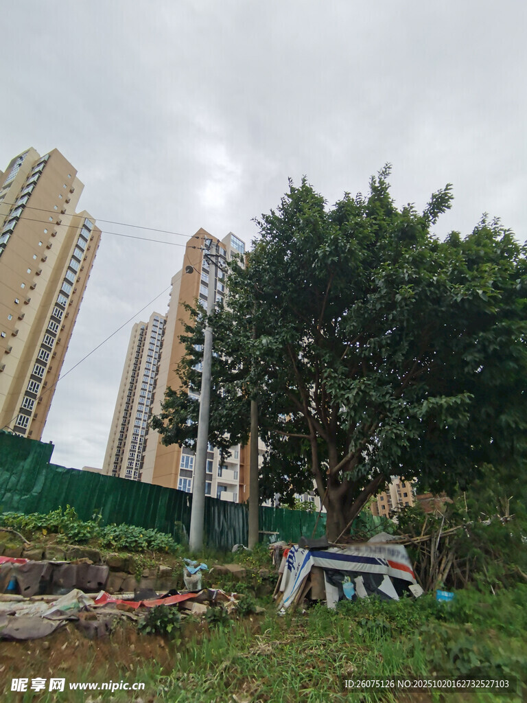 城市在建工地旁的绿植景观