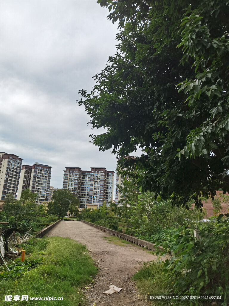 城郊小路旁的居民楼景观