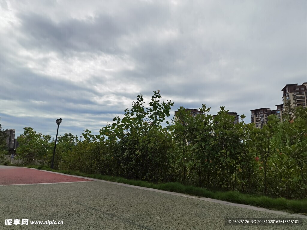 城郊道路旁的绿植与建筑