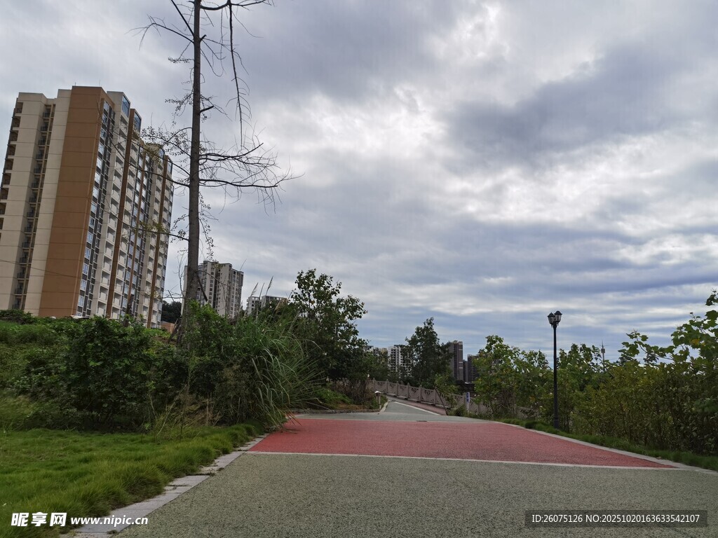 城市中宁静的户外步道