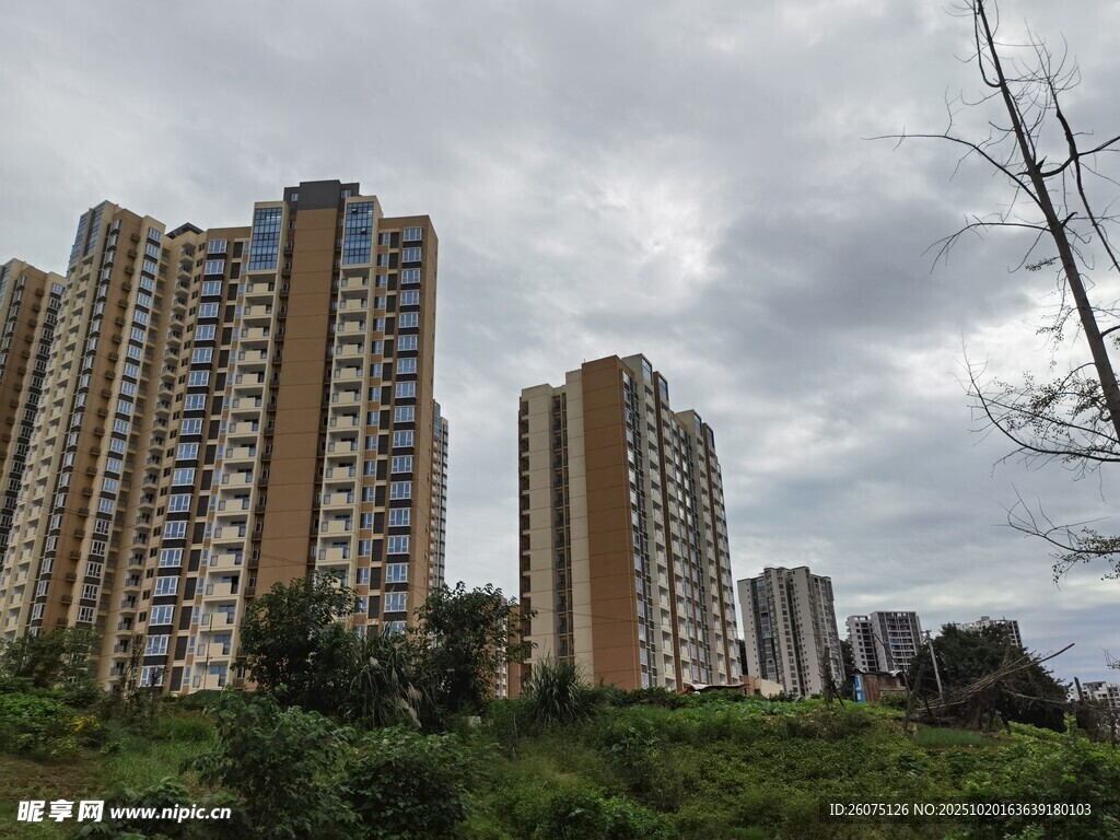 城市高楼林立的景观