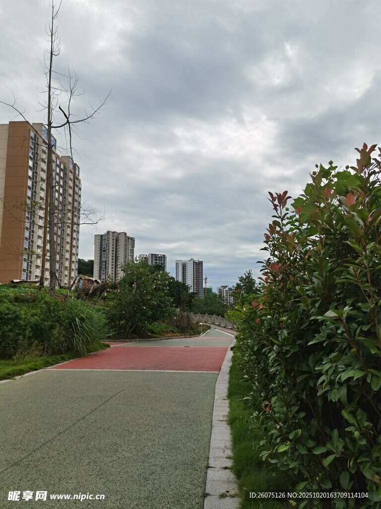 城市中的绿植小径景观