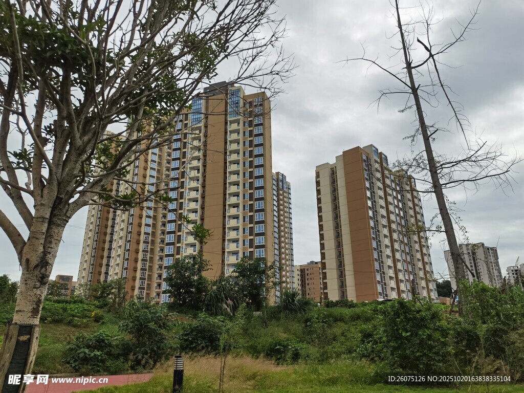 城市高楼旁的绿植景观