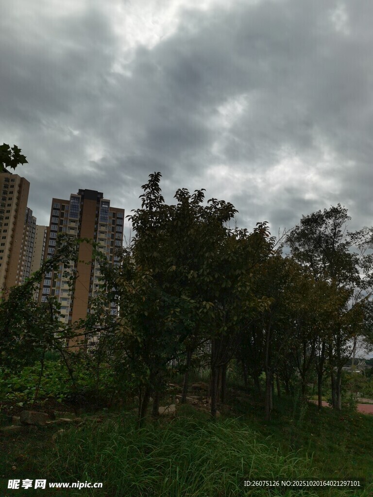 阴天城市建筑群与绿植景观