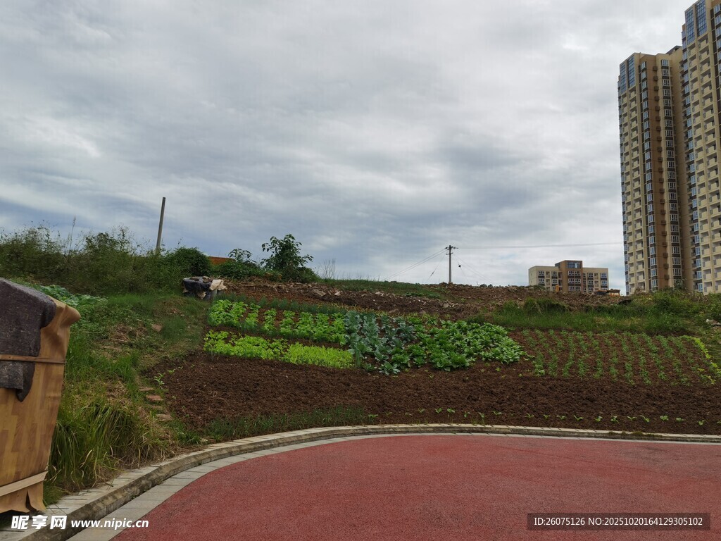 城市中的多彩坡地景观