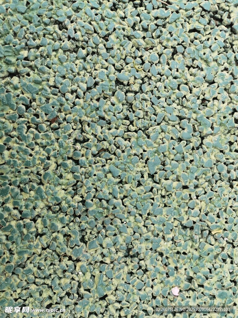 绿色斑驳纹理背景图