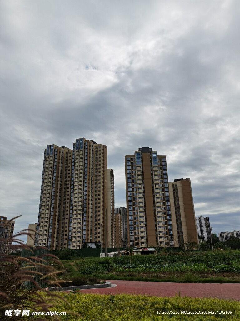 城市高楼与草地景观