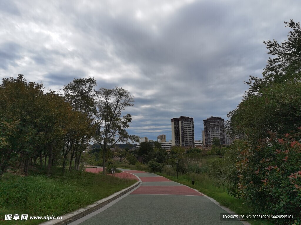 城市林间步道风景