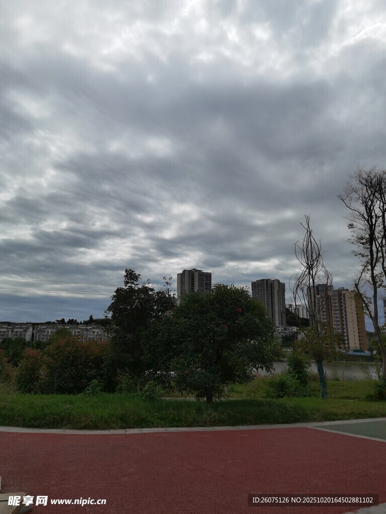 阴天的城市公园景观