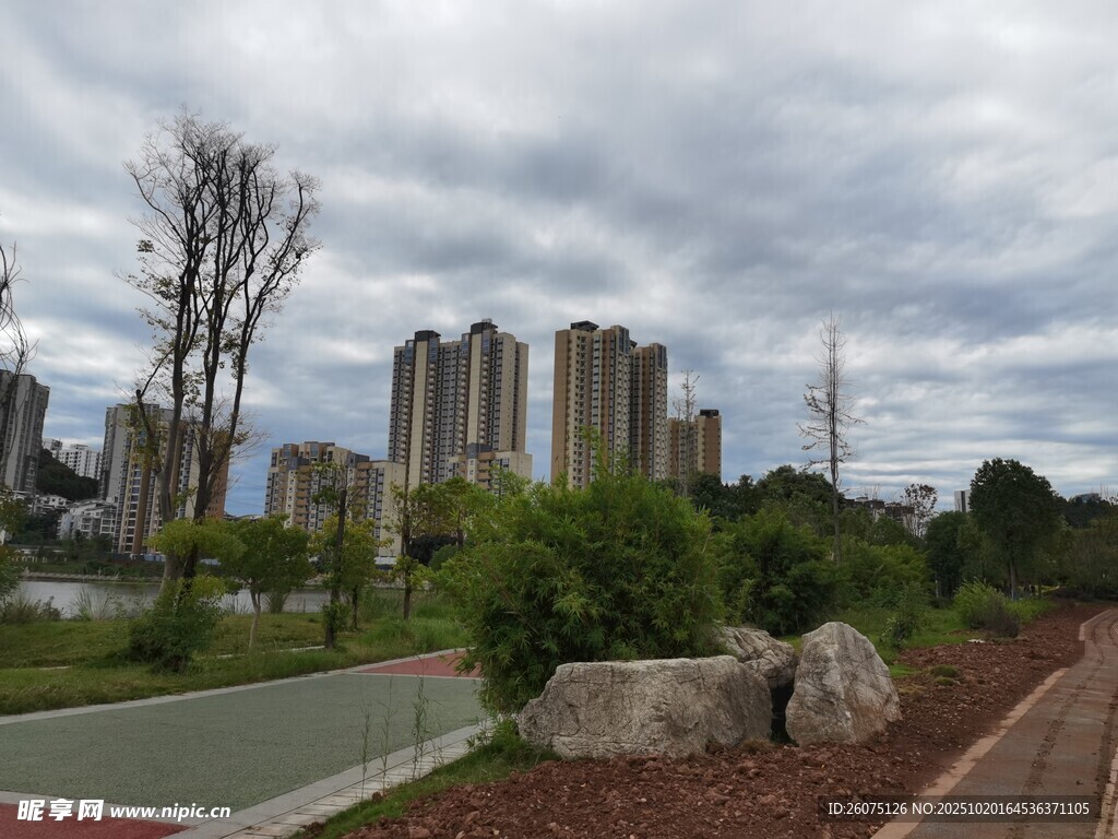 城市公园中的自然景致