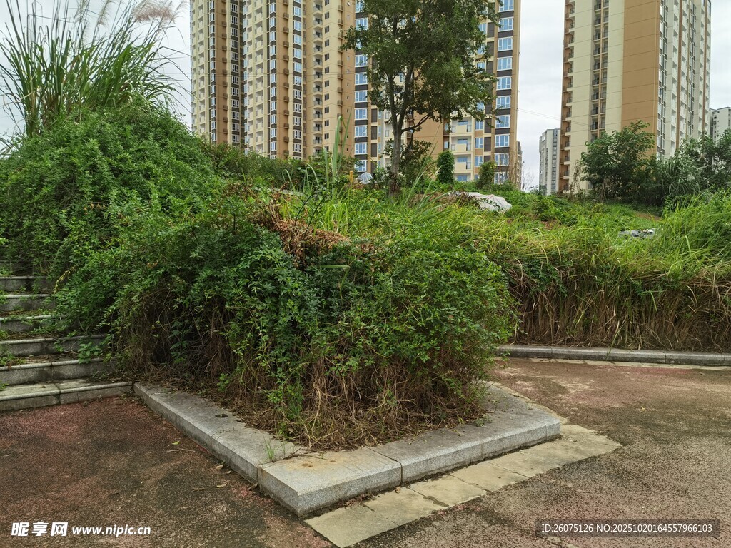 城市中的绿植景观角落