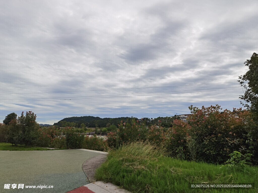 乡村道路边的自然风光