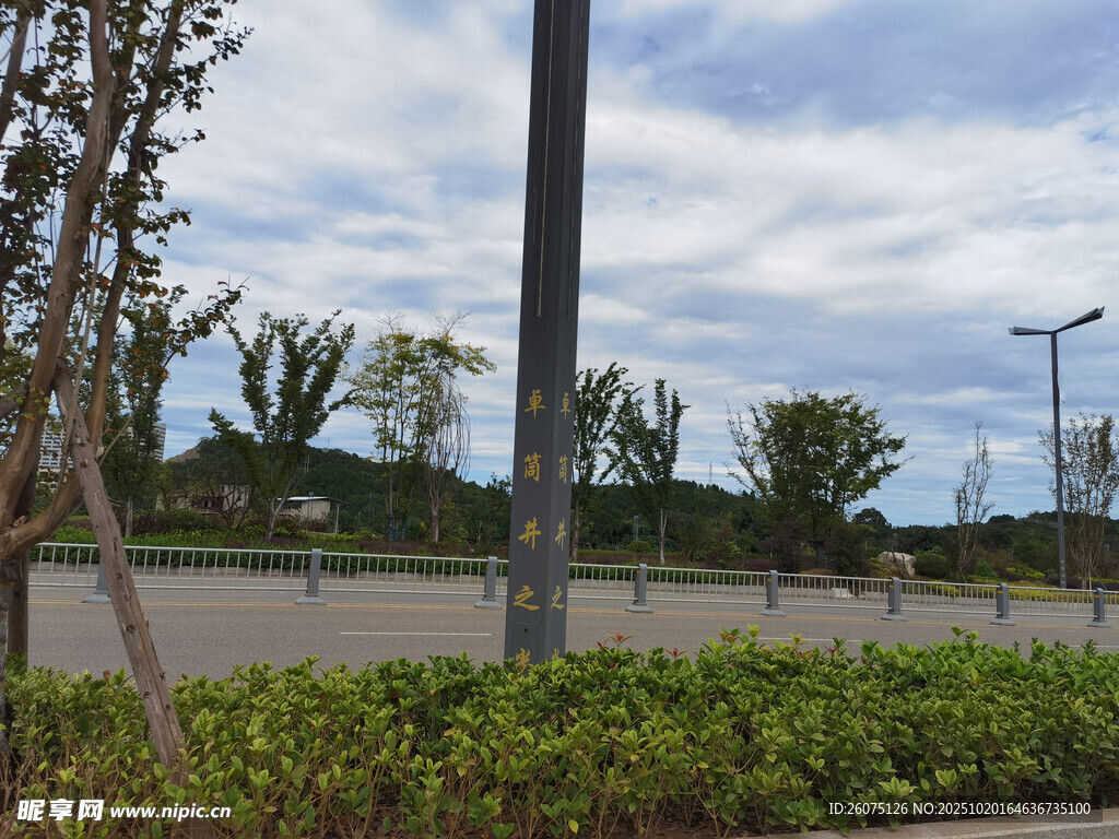户外绿植与路灯景观