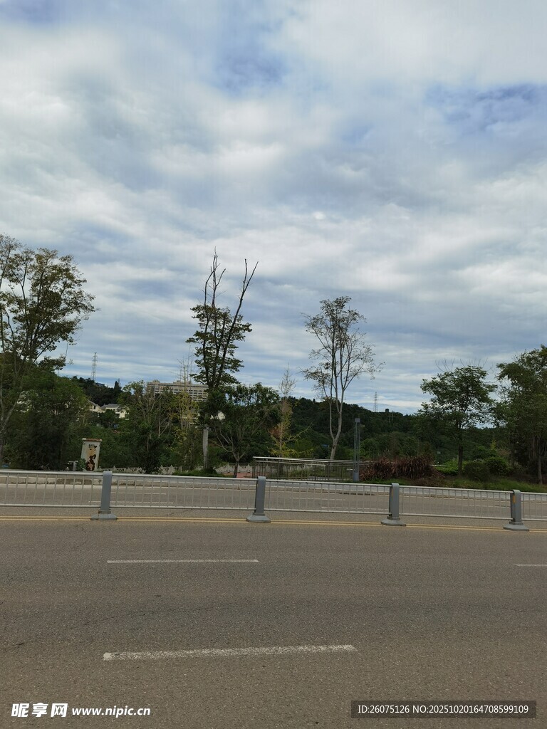 空旷道路与远处树木景观