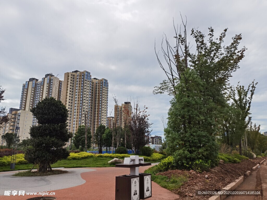 城市园林景观中的绿植与建筑