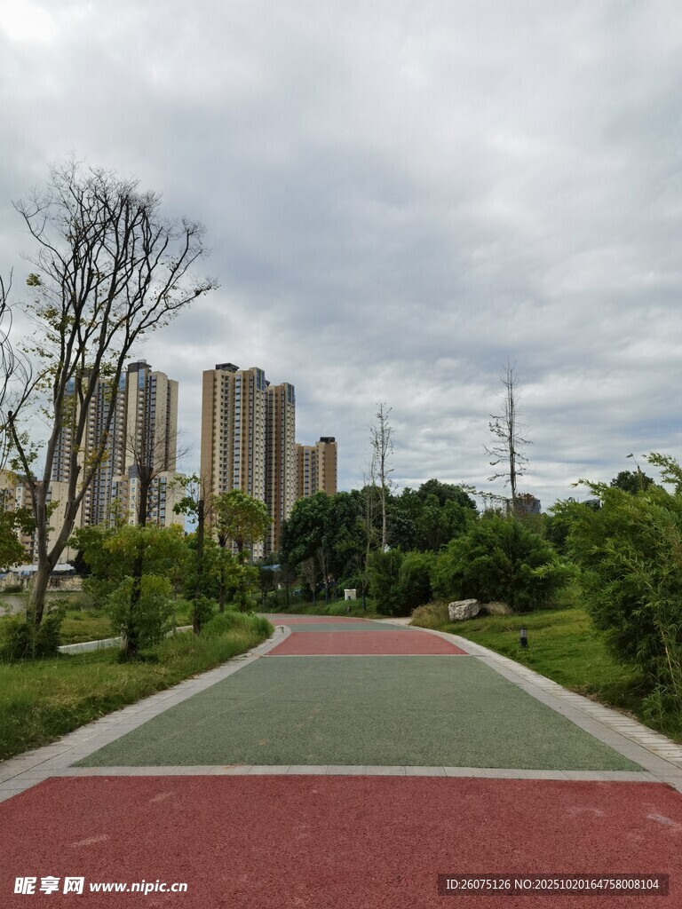 城市公园中的多彩步道