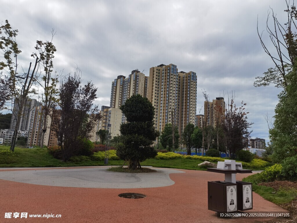 城市公园中的高楼与景观