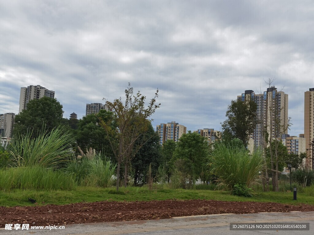 城市边的绿地与高楼景观