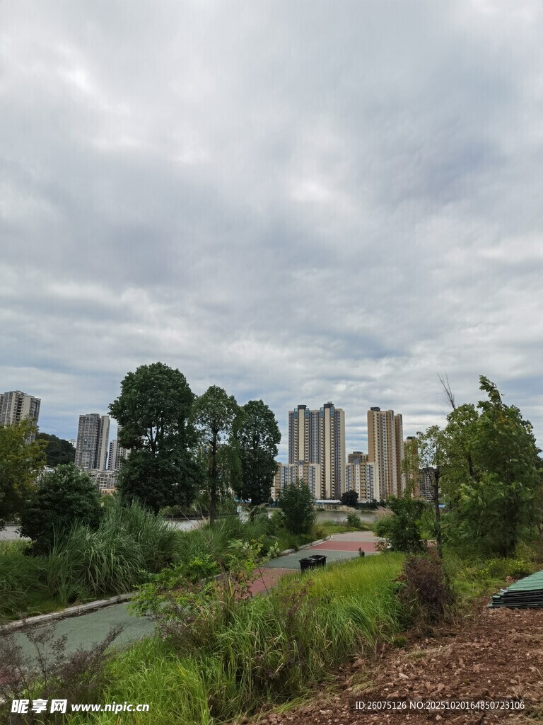 城市边缘的绿植与高楼景观