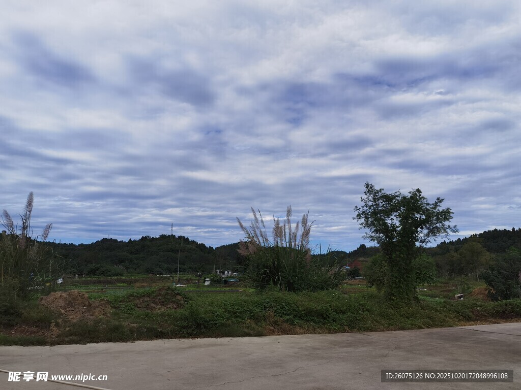 乡村公路旁的自然景致