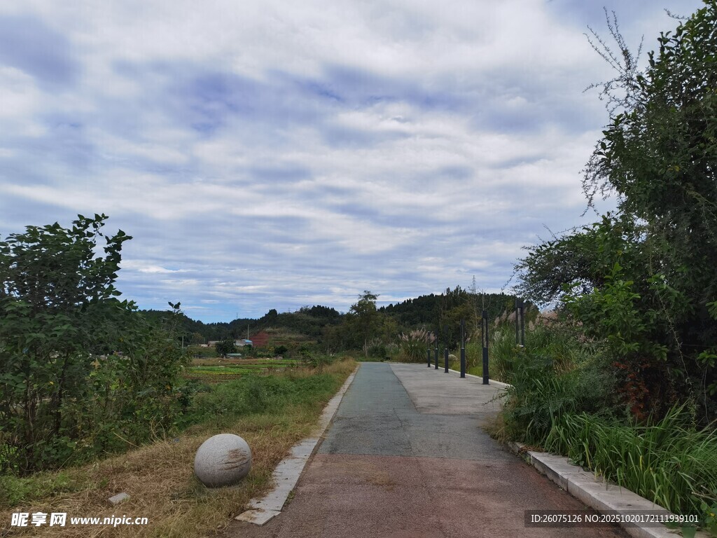 乡间小路自然清新景致