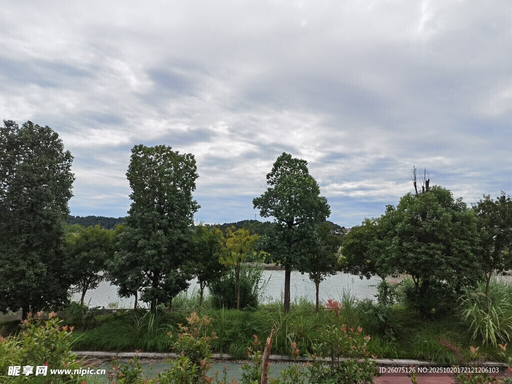 湖畔绿树成荫风景如画