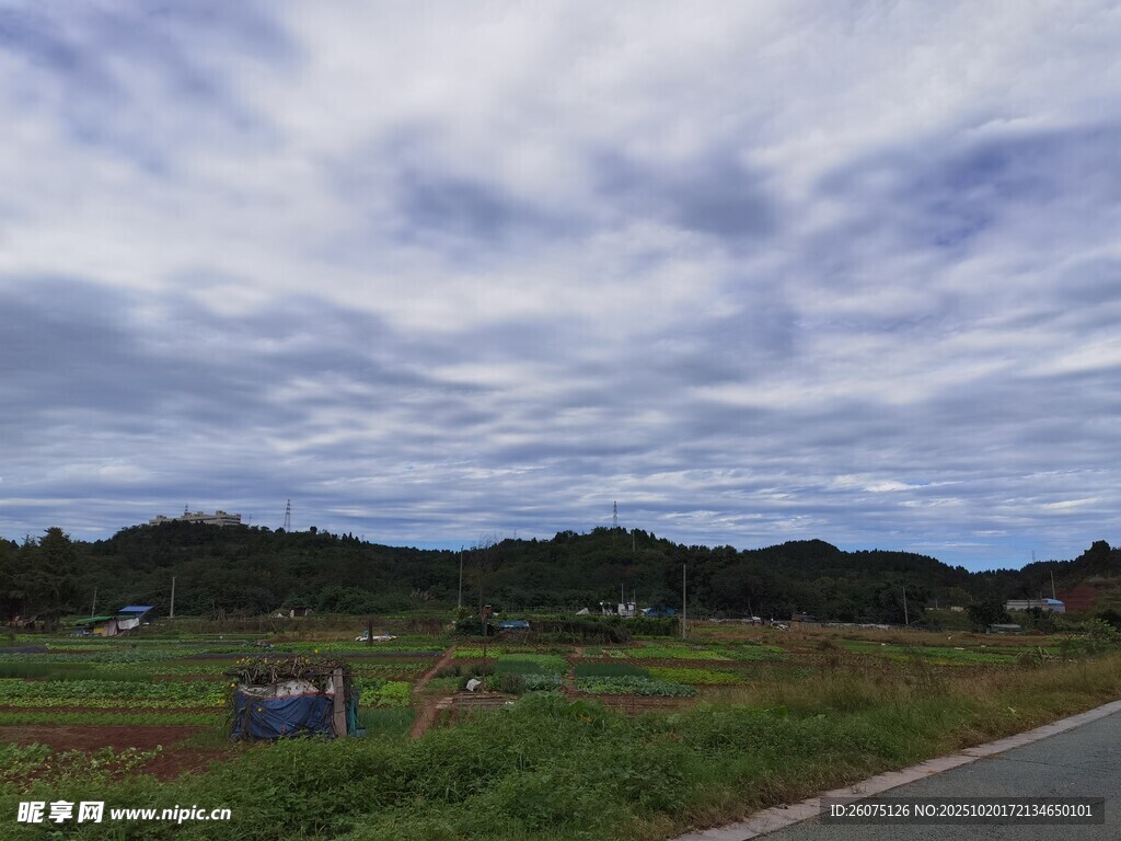 乡村公路边的田园风光