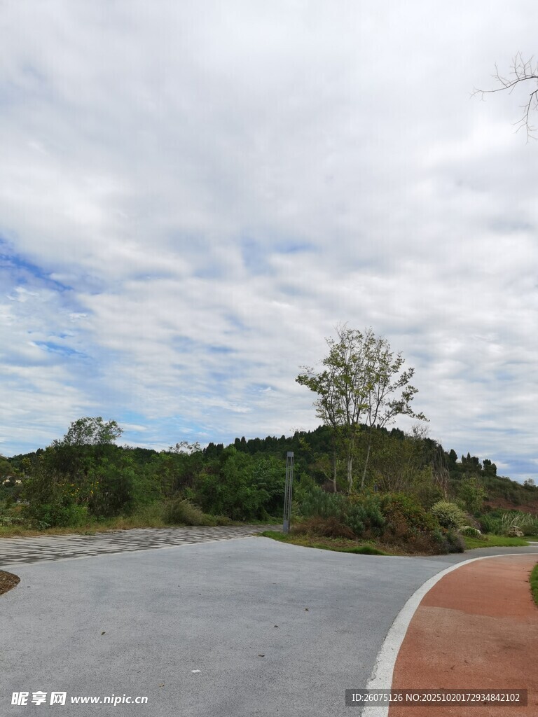 蜿蜒公路旁的葱郁景致